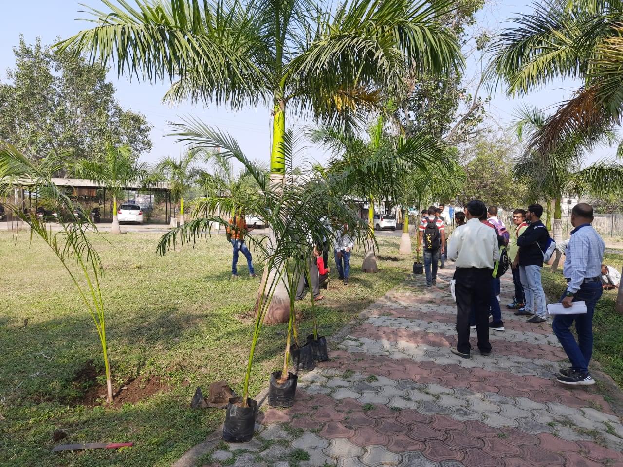 PES College of Engineering Aurangabad Tree Plantation photo 1